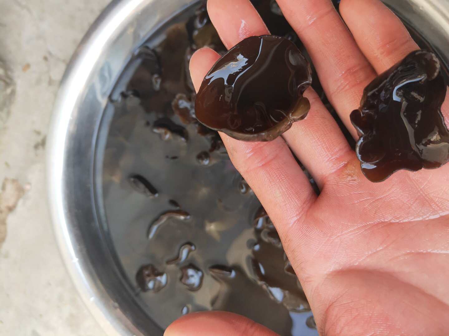 東北木耳，電商專用，價格低，質(zhì)量好