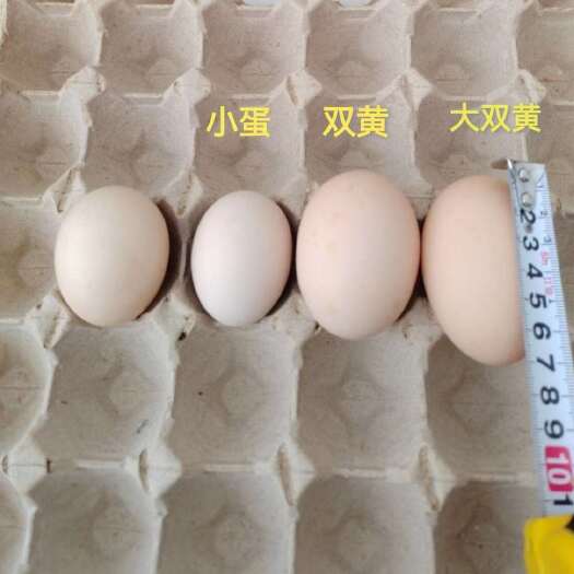 北京正大食品种禽直销双黄蛋9元/公斤
！！请勿下单