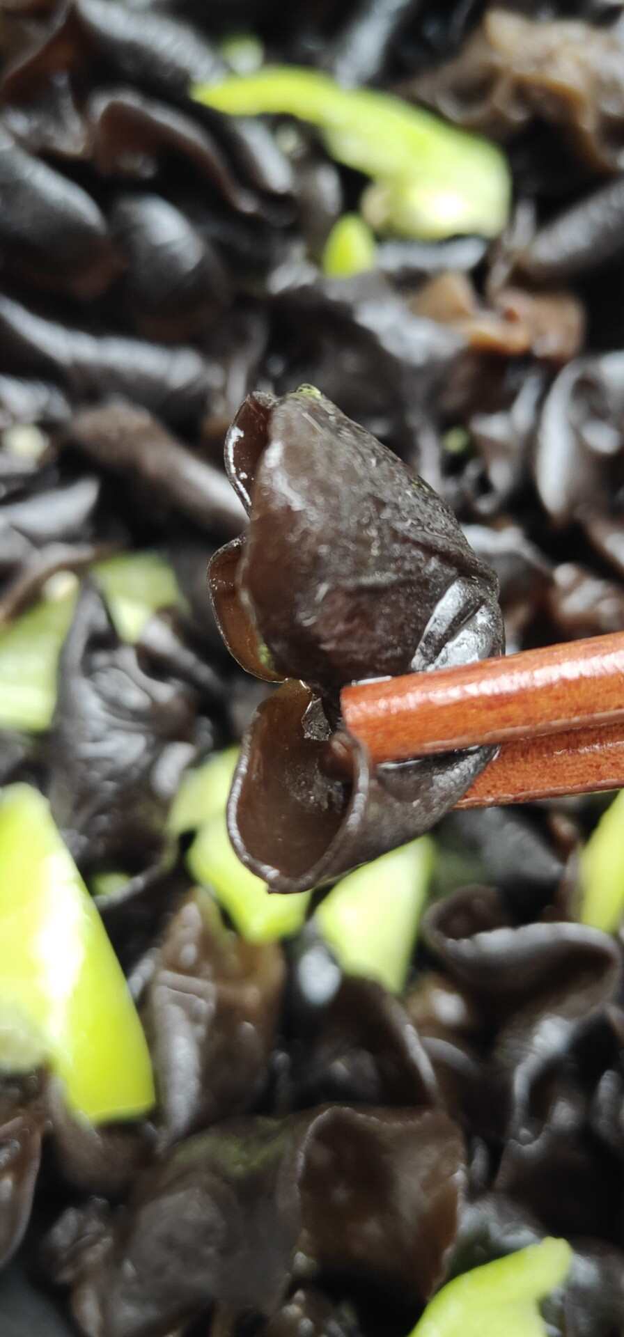 東北木耳，電商專用，價格低，質(zhì)量好