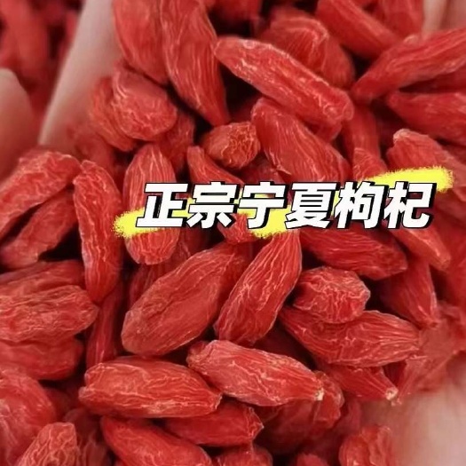  枸杞