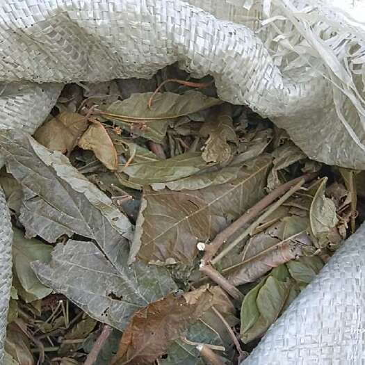 廉江市路边青