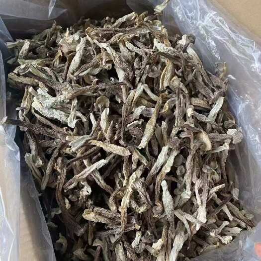 佛山鹿茸菇 精品鹿茸菇干货批发