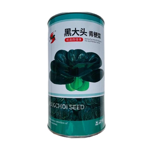 南京神禾黑大头青梗菜种子优选四倍体黑大头菜种籽四季蔬菜籽大田农家