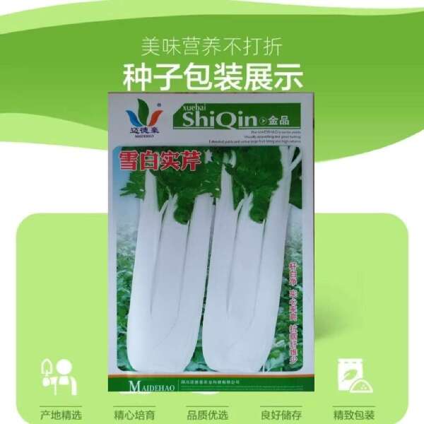 白芹种子四川白杆实芹早熟抗病四季可播抗热耐寒芹菜种籽嫩白晶莹