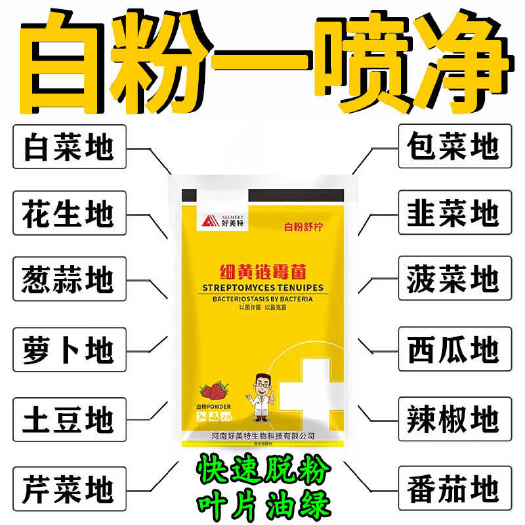 栾川县白粉病杀菌剂白粉病专用药白粉一喷净白粉病蔬菜瓜果果树多肉花卉