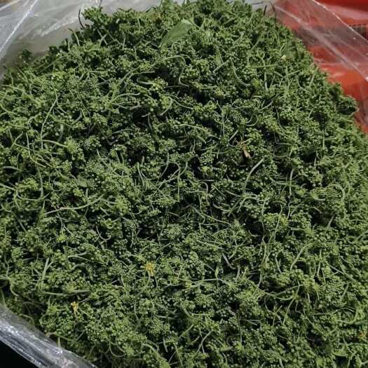 亳州人参花长白山特产人参花袋装包邮