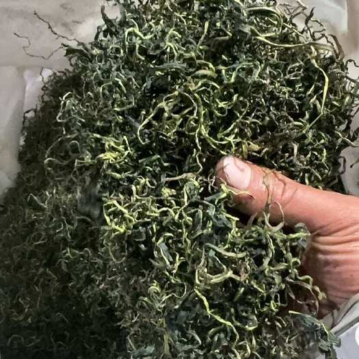 鹿邑县蒲公英茶