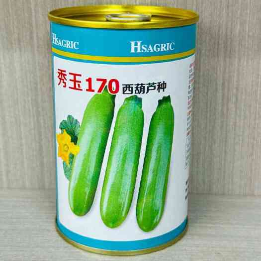 南京秀玉170西葫芦种子速生长瓜条顺直大田基地种植西葫芦籽抗病