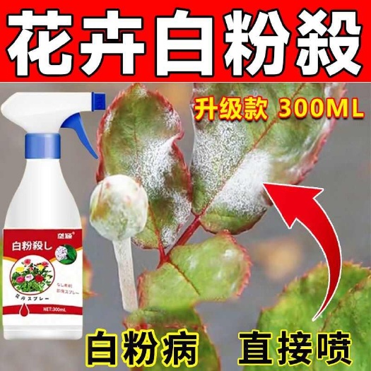 栾川县花卉病害专用盆栽绿植枯枝病白粉病新芽干枯萎焉黄叶不生长抗病