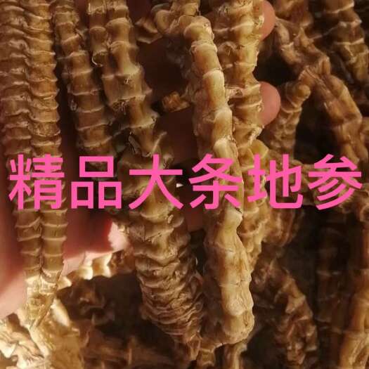 亳州长期供应｛地参｝可批量可零售量大从优【包邮】整包更优惠
