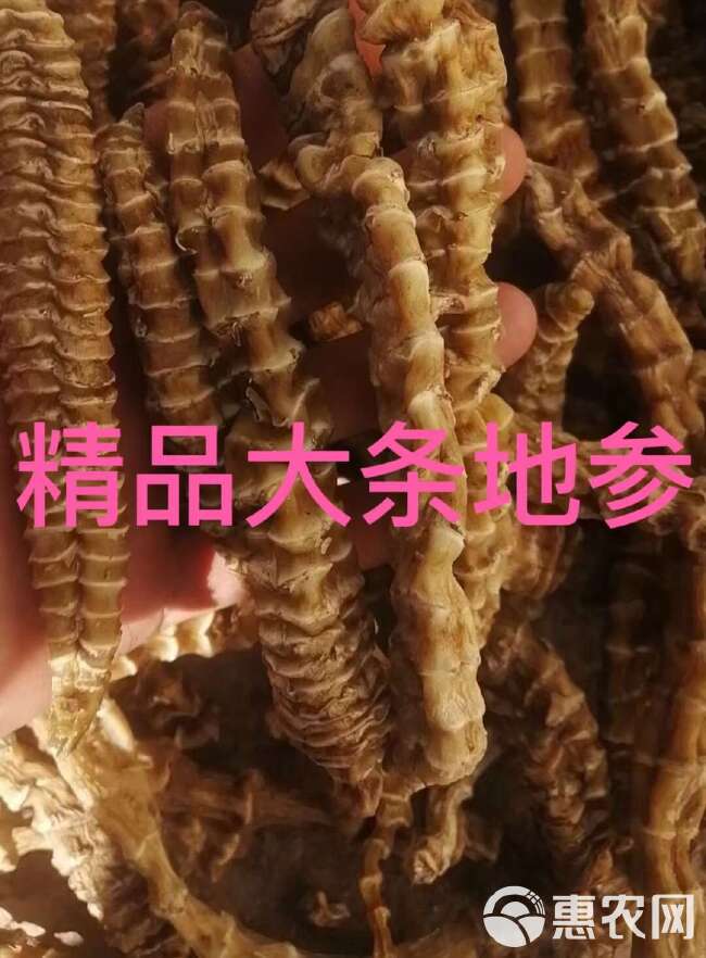 长期供应｛地参｝可批量可零售量大从优【包邮】整包更优惠