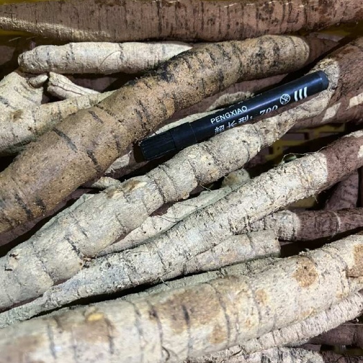 牛大力薯鲜货中小牛 大牛种植新鲜粉质小牛薯 大叶品种 长期批