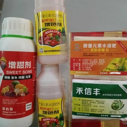 大荔县冬枣增糖套餐，不软枣，果实脱青技术，增糖着色，亮果发白
