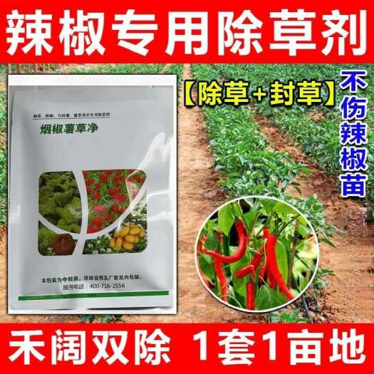 辣椒专用除草剂辣椒田苗后安全除草药禾阔莎通除不伤苗辣椒杀草剂