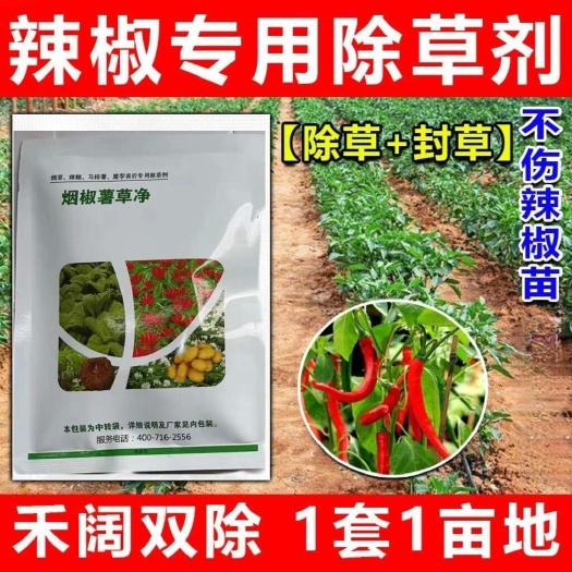 郑州辣椒专用除草剂辣椒田苗后安全除草药禾阔莎通除不伤苗辣椒杀草剂