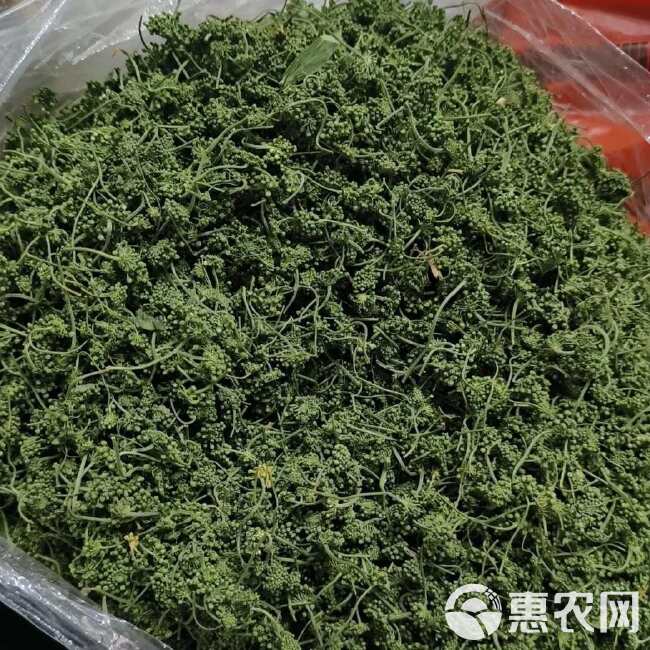 人参花长白山特产人参花袋装包邮