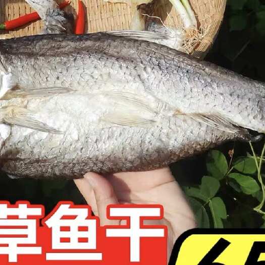 佛山鱼干 干鱼 草鱼干 地摊 电商 批发 开边草鱼干 干草鱼