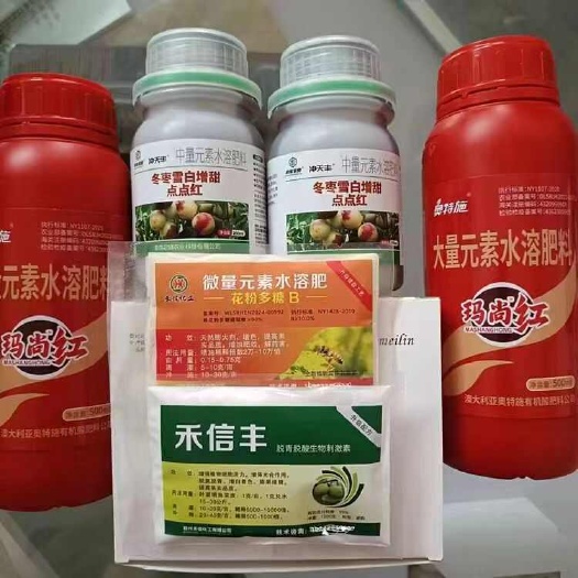 大荔县冬枣褪青套餐，果实增糖着，不软果，靓果发白，脱青技术