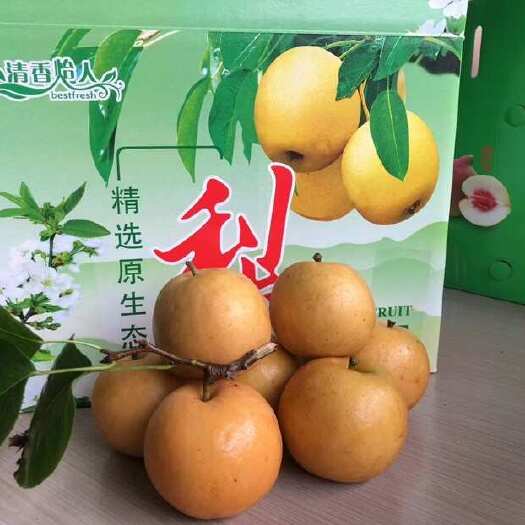  水晶梨
