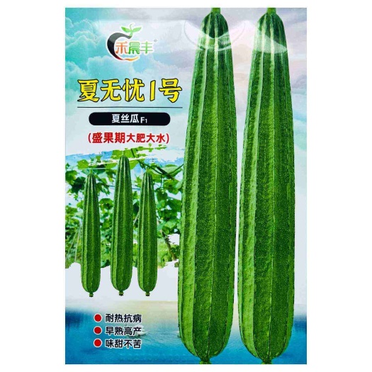 南京夏无优1号丝瓜种子耐热速生长早熟大田基地种植抗病丝瓜种子
