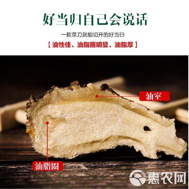 当归头片 甘肃岷县原产地精选优质当归头片