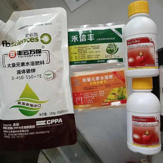 大荔县冬枣褪青套餐，不软枣，增糖着色，亮果着色，发白增甜