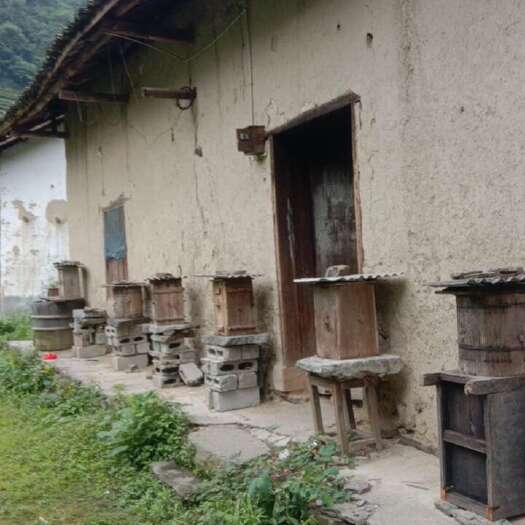 秭归县高山无人区土蜂蜜，无人耕作，就无化肥农药残留，假一赔十