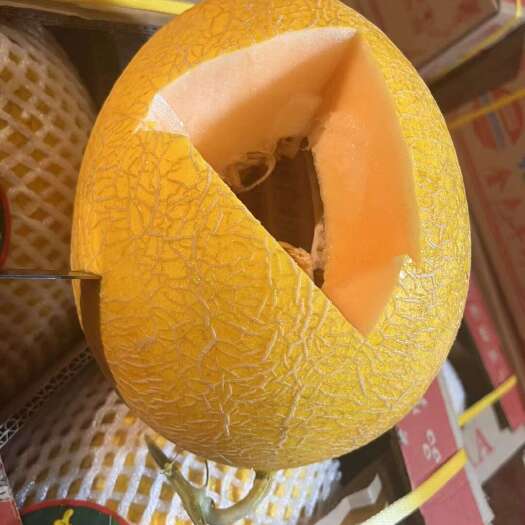 化州市黄金哈密瓜