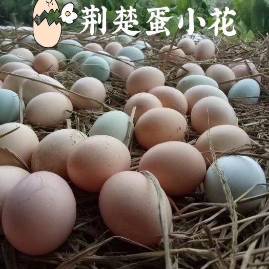 京山市京山精品粉壳蛋！土鸡蛋散养蛋新鲜口感好