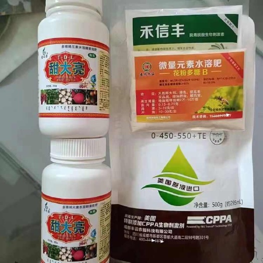 大荔县冬枣果实脱青技术，不软枣，增糖着色，亮果上糖转色发白