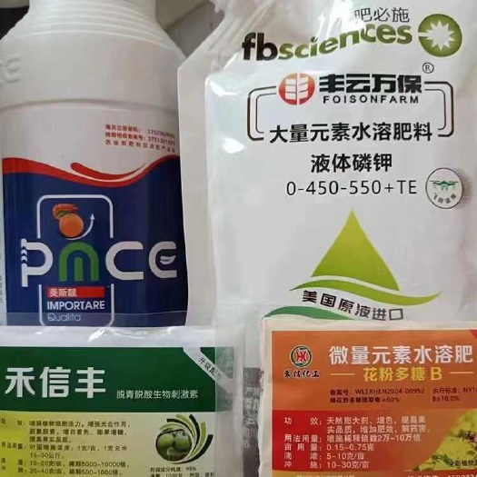 大荔县冬枣褪青发白套餐，不软枣，大荔冬枣褪青，脱青亮果着色增糖