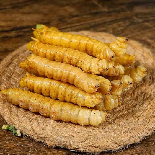 豆虫，豆青虫，冷冻豆虫