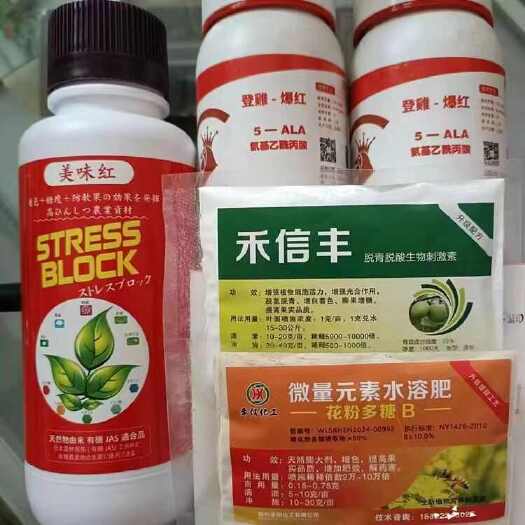 大荔县冬枣脱青发白套餐，不软枣，增甜着色亮果，5天见效，褪青技术