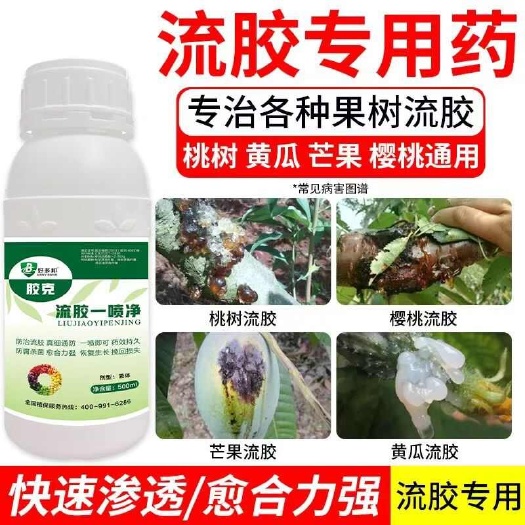 长沙胶克流胶钻孔一喷净果树花椒桃树流胶病专用溶解剂微生物菌剂