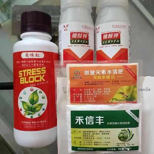 大荔县冬枣褪青套餐，不软枣，冬枣果实脱青，冬枣发白产品，着色靓果