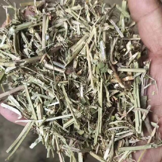 灵寿县花生秧