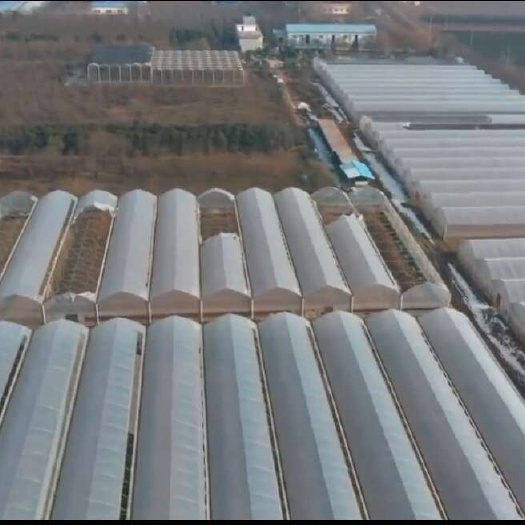 西安种植大棚
