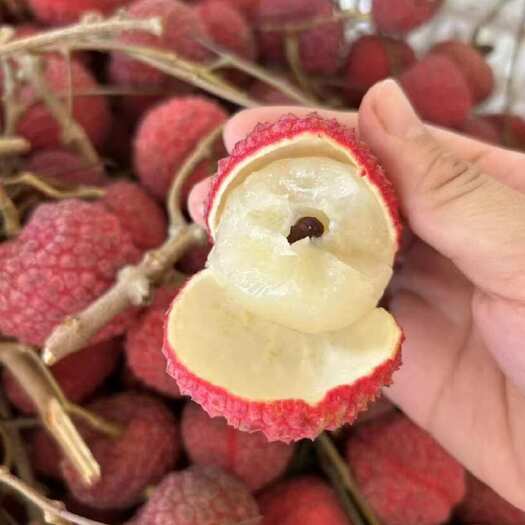 蜜丁香