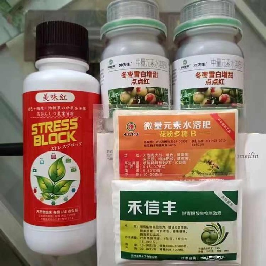 大荔县冬枣脱青套餐，不软枣，冬枣快速脱青技术，5天增糖着色靓果