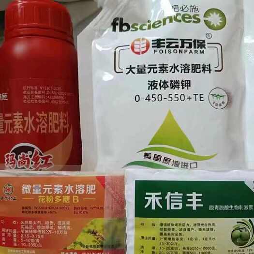 大荔县冬枣脱青套餐，不软枣，冬枣果实脱青技术，增甜着色亮果变白