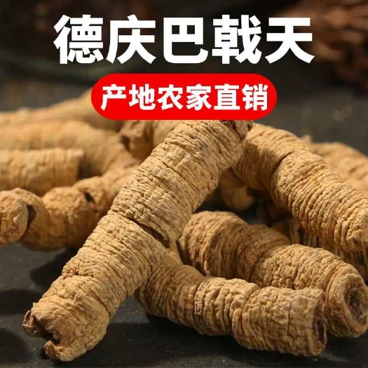 西安【巴戟天干货】 中药材批发 大货产地货源生晒  散装巴戟天