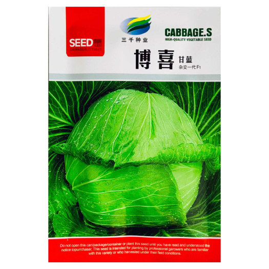 博喜甘蓝种子耐寒春秋适种大田基地播种抗病卷芯包头菜种子