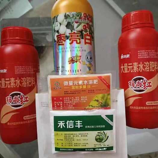 大荔县冬枣脱青套餐，不软枣，快速增糖着色，发白靓果转色