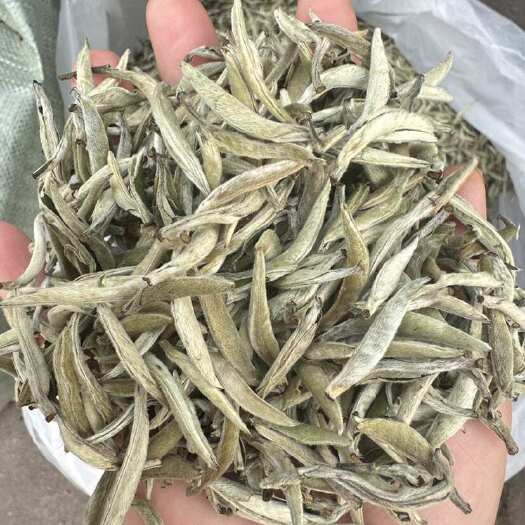 昆明普洱茶白茶月光白白豪银针