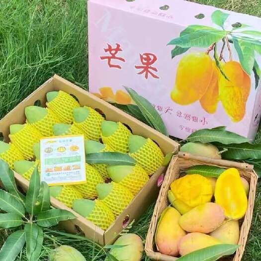 田东县广西百色芒果