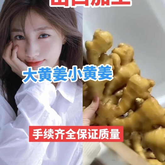 濮阳山东生姜，大黄姜