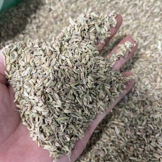 玉林印度小茴香，量大从优