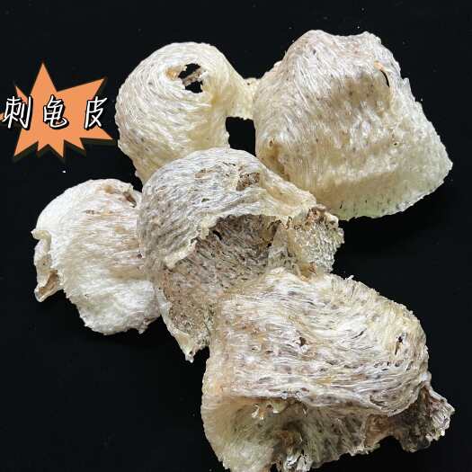 广州刺龟皮刺豚干拔刺无刺海刺龟皮滋补煲汤海胆皮海产干货特产