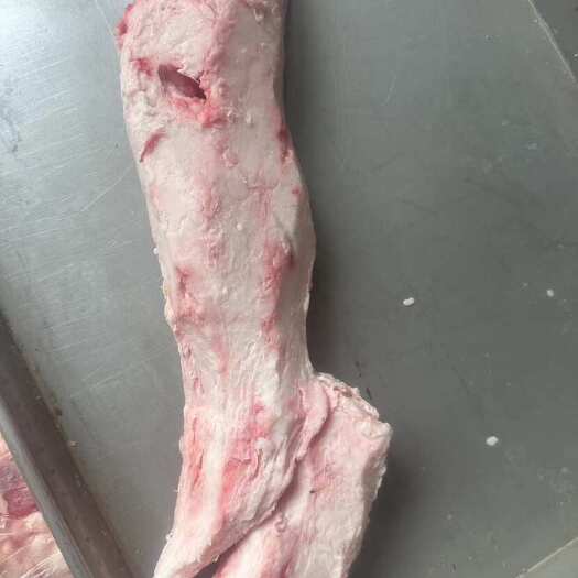 阳信县烧烤专用精修牛踹油  无杂质  全部精修  一手货源直销