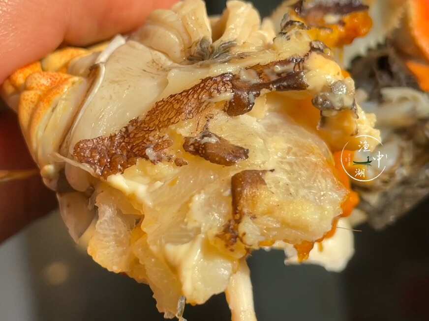 阳澄湖镇大闸蟹免费加盟一件代发，团购，企业采购一手货源